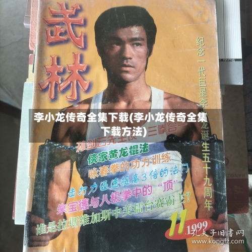 李小龙传奇全集下载(李小龙传奇全集下载方法)-第2张图片