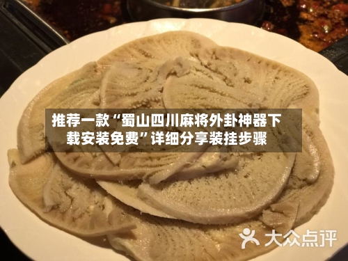 推荐一款“蜀山四川麻将外卦神器下载安装免费”详细分享装挂步骤-第2张图片