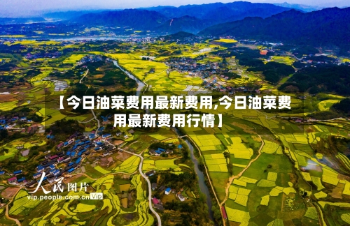 【今日油菜费用最新费用,今日油菜费用最新费用行情】-第2张图片