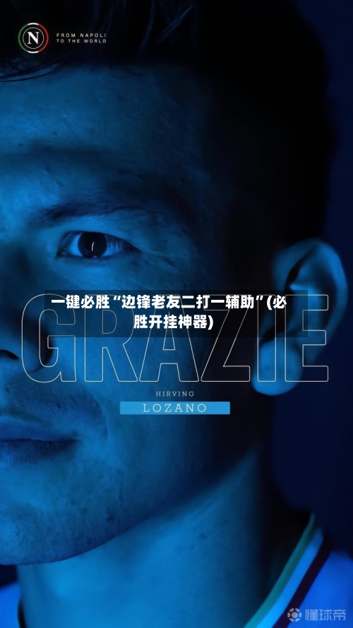 一键必胜“边锋老友二打一辅助”(必胜开挂神器)