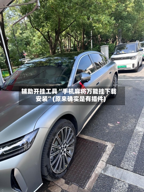 辅助开挂工具“手机麻将万能挂下载安装”(原来确实是有插件)-第2张图片