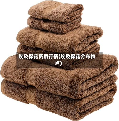 埃及棉花费用行情(埃及棉花分布特点)