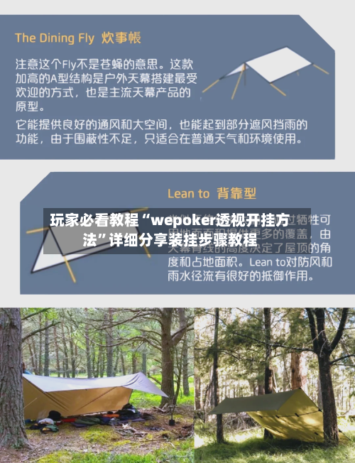 玩家必看教程“wepoker透视开挂方法”详细分享装挂步骤教程-第2张图片