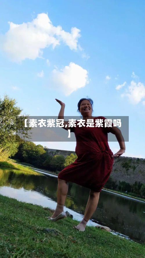 【素衣紫冠,素衣是紫霞吗】