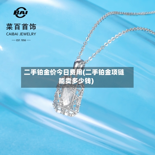 二手铂金价今日费用(二手铂金项链能卖多少钱)