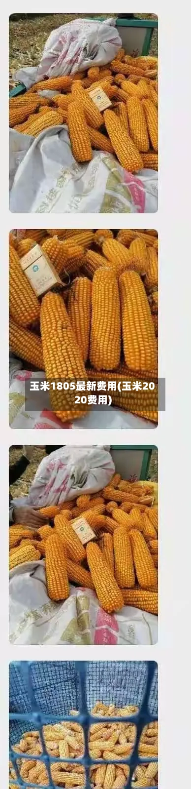 玉米1805最新费用(玉米2020费用)-第2张图片