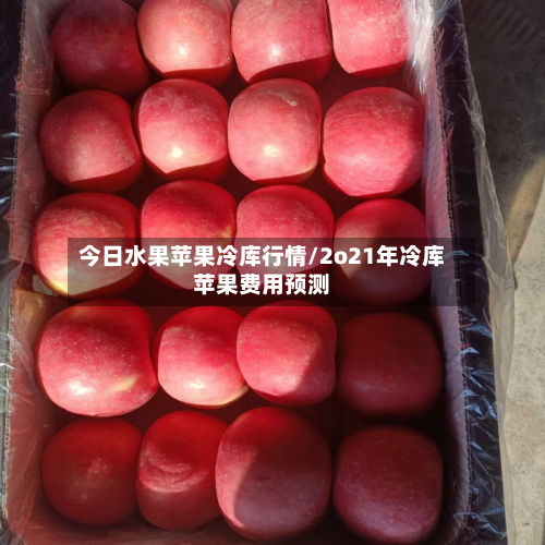 今日水果苹果冷库行情/2o21年冷库苹果费用预测