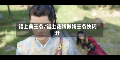 错上美王爷/错上花娇傲娇王爷快闪开-第3张图片