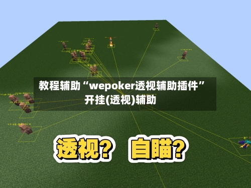 教程辅助“wepoker透视辅助插件”开挂(透视)辅助-第3张图片