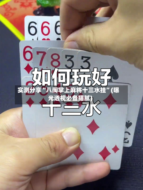 实测分享“八闽掌上麻将十三水挂”(曝光透视必备猫腻)-第2张图片