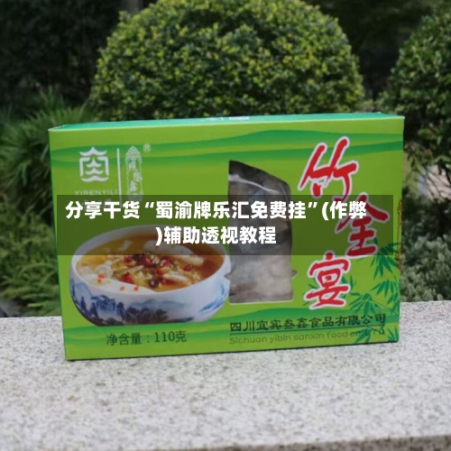 分享干货“蜀渝牌乐汇免费挂”(作弊)辅助透视教程-第3张图片