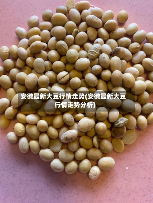 安徽最新大豆行情走势(安徽最新大豆行情走势分析)-第2张图片