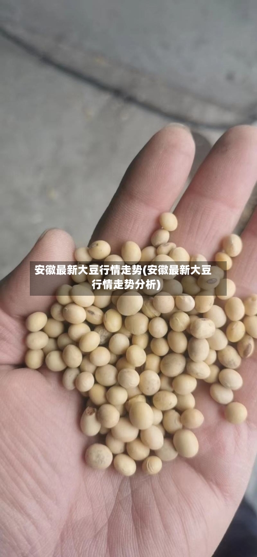 安徽最新大豆行情走势(安徽最新大豆行情走势分析)-第3张图片