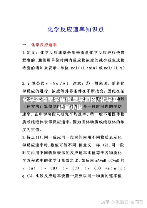 化学实验室学霸做哭学渣肉/化学实验室小说-第2张图片