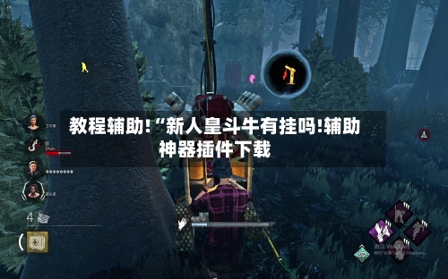 教程辅助!“新人皇斗牛有挂吗!辅助神器插件下载