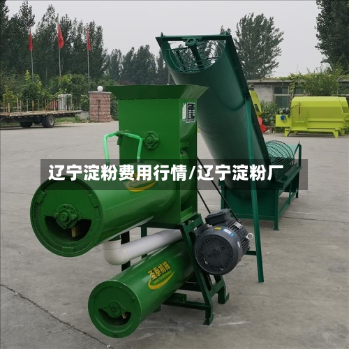 辽宁淀粉费用行情/辽宁淀粉厂-第2张图片