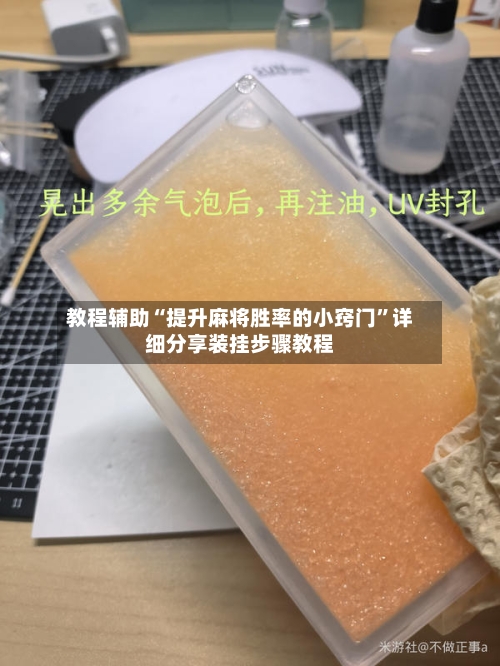 教程辅助“提升麻将胜率的小窍门”详细分享装挂步骤教程-第3张图片