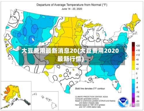 大豆费用最新消息20(大豆费用2020最新行情)-第3张图片