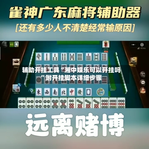 辅助开挂工具“湘中娱乐可以开挂吗”附开挂脚本详细步骤-第2张图片