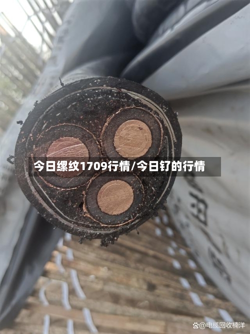 今日缧纹1709行情/今日钌的行情-第3张图片