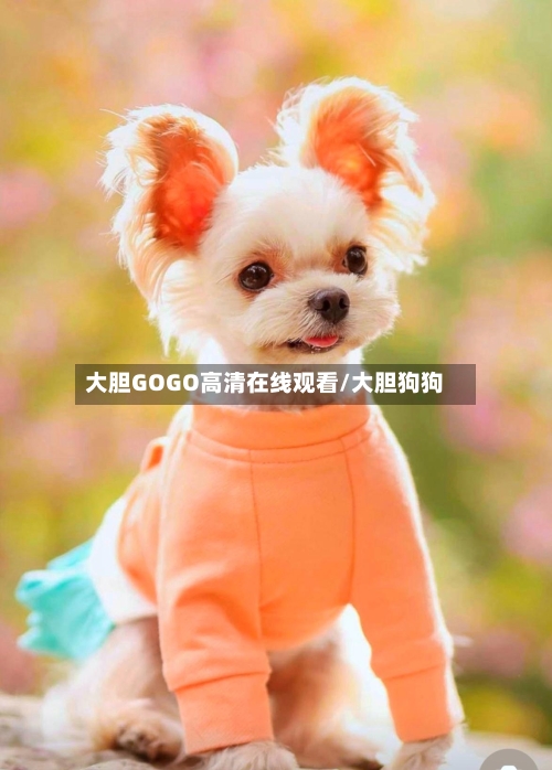 大胆GOGO高清在线观看/大胆狗狗