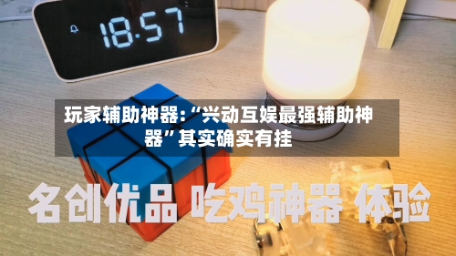 玩家辅助神器:“兴动互娱最强辅助神器	”其实确实有挂-第2张图片