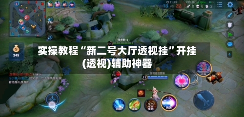 实操教程“新二号大厅透视挂”开挂(透视)辅助神器-第3张图片