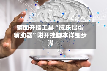 辅助开挂工具“微乐掼蛋辅助器”附开挂脚本详细步骤-第2张图片