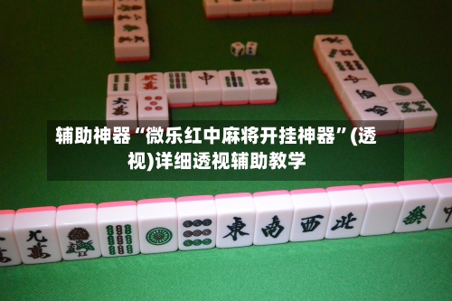 辅助神器“微乐红中麻将开挂神器”(透视)详细透视辅助教学