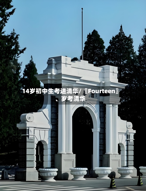 14岁初中生考进清华/〖Fourteen〗、岁考清华-第3张图片