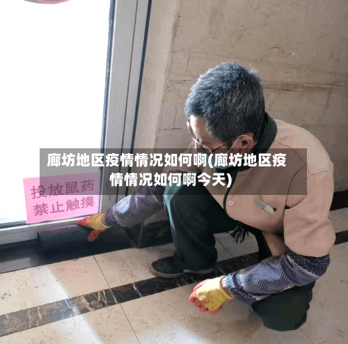 廊坊地区疫情情况如何啊(廊坊地区疫情情况如何啊今天)-第2张图片