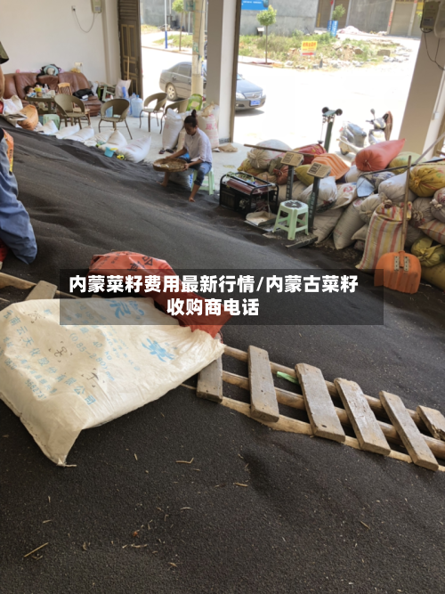 内蒙菜籽费用最新行情/内蒙古菜籽收购商电话-第2张图片