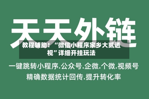 教程辅助！“微信小程序家乡大贰透视”详细开挂玩法