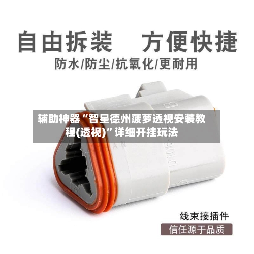 辅助神器“智星德州菠萝透视安装教程(透视)”详细开挂玩法-第3张图片