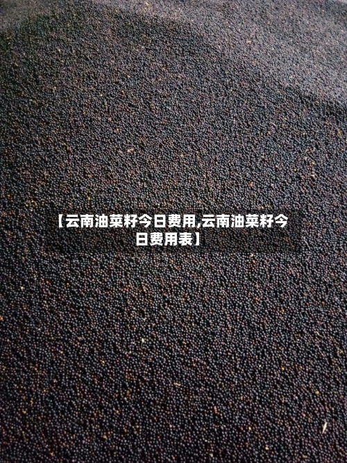 【云南油菜籽今日费用,云南油菜籽今日费用表】