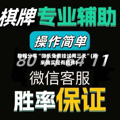 教程分享“微乐免费挂试用三天	”(原来确实是有插件)-第3张图片