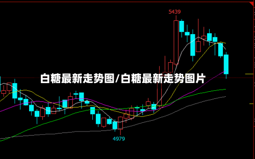 白糖最新走势图/白糖最新走势图片-第2张图片