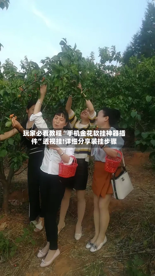 玩家必看教程“手机金花软挂神器插件”透视挂!详细分享装挂步骤-第2张图片