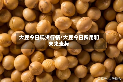大豆今日现货行情/大豆今日费用和未来走势
