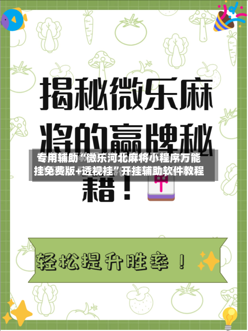 专用辅助“微乐河北麻将小程序万能挂免费版+透视挂	”开挂辅助软件教程-第3张图片