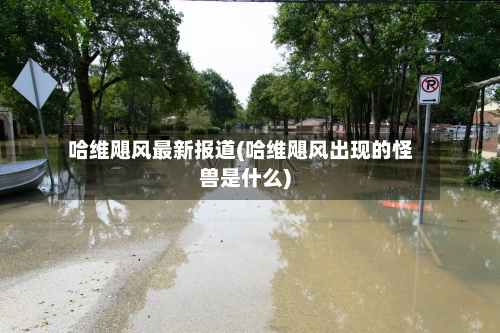 哈维飓风最新报道(哈维飓风出现的怪兽是什么)-第2张图片