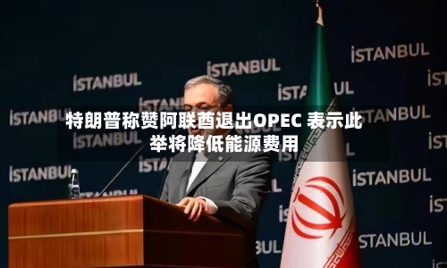 特朗普称赞阿联酋退出OPEC 表示此举将降低能源费用-第2张图片