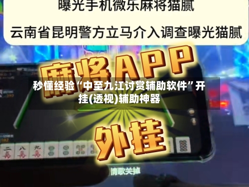 秒懂经验“中至九江讨赏辅助软件”开挂(透视)辅助神器