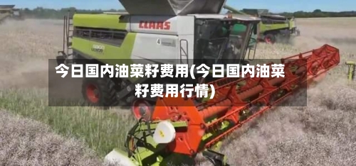 今日国内油菜籽费用(今日国内油菜籽费用行情)