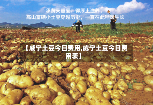 【威宁土豆今日费用,威宁土豆今日费用表】-第3张图片