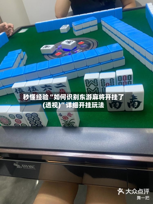 秒懂经验“如何识别东游麻将开挂了(透视)”详细开挂玩法