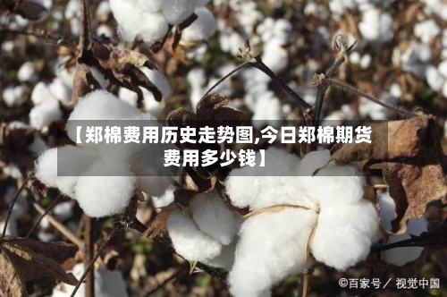 【郑棉费用历史走势图,今日郑棉期货费用多少钱】