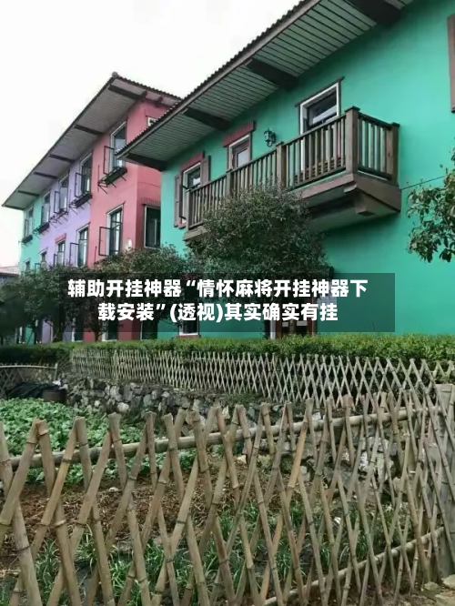 辅助开挂神器“情怀麻将开挂神器下载安装”(透视)其实确实有挂-第3张图片