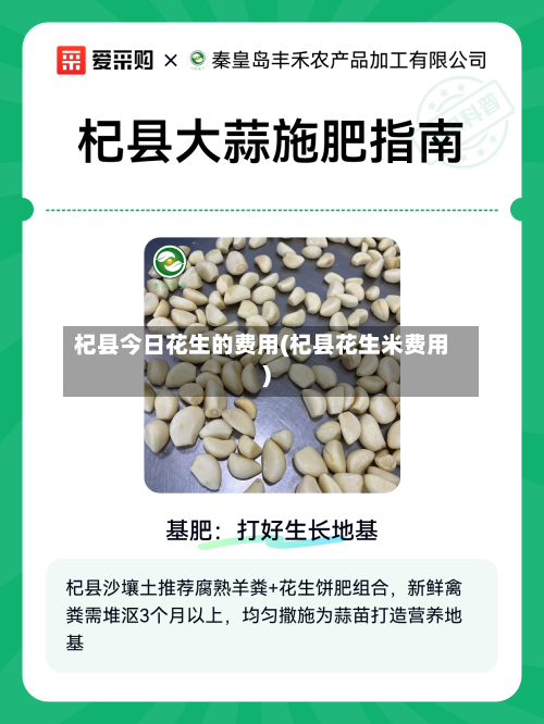 杞县今日花生的费用(杞县花生米费用)-第3张图片