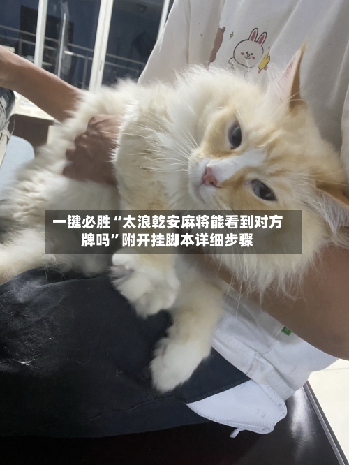 一键必胜“太浪乾安麻将能看到对方牌吗”附开挂脚本详细步骤-第2张图片